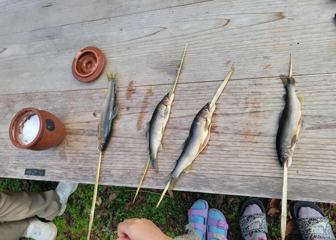 2834c330-fb36-4330-a67e-dcf8429e8370