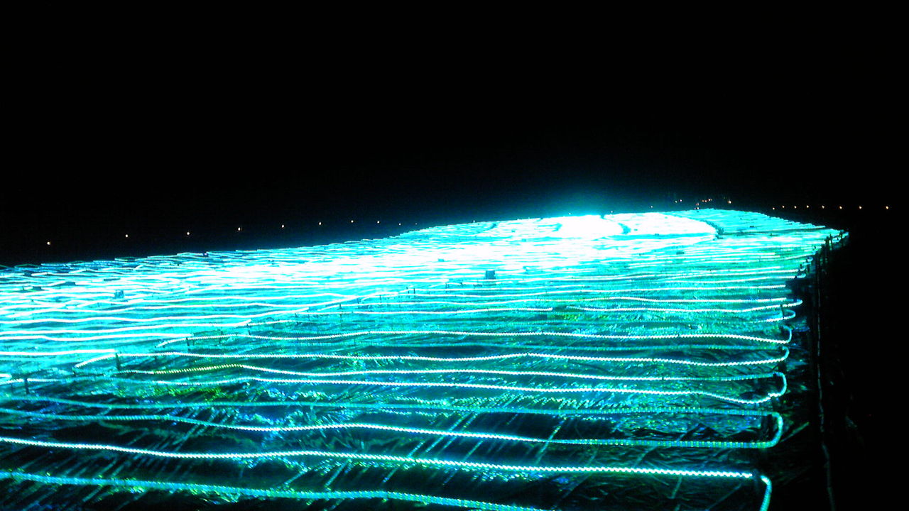 101130_200806