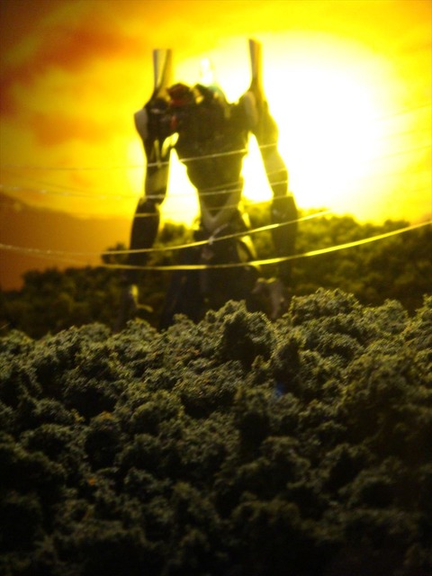 「ヱヴァンゲリヲンと日本刀」展に行ってきた!~フィギュア ...