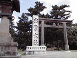 84ab1140.jpg