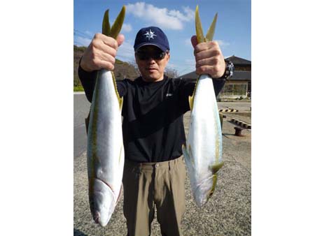 熱い 小川島 烏賊狩りオヤジのブログエギングに魅せられて