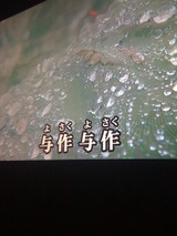 1023京都?