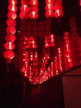 湖州19