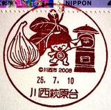 6cec082b.jpg