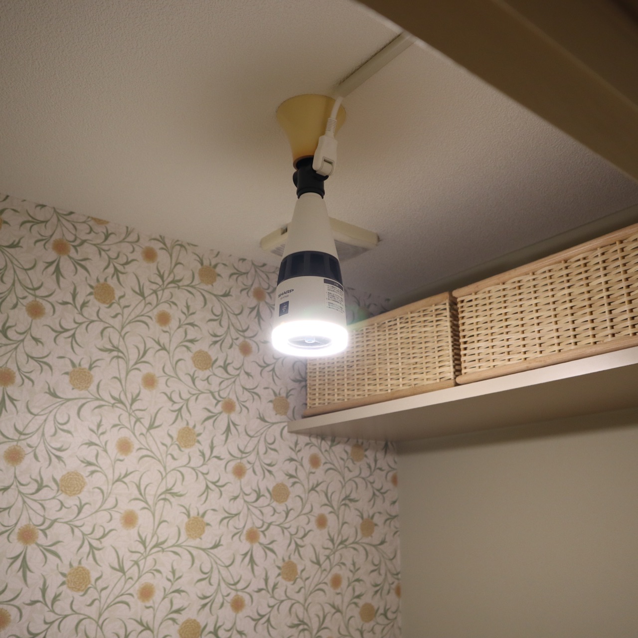 トイレを除菌消臭してくれるプラズマクラスターのセンサー式電球 トイレを除菌消臭してくれるプラズマクラスターのセンサー式電球