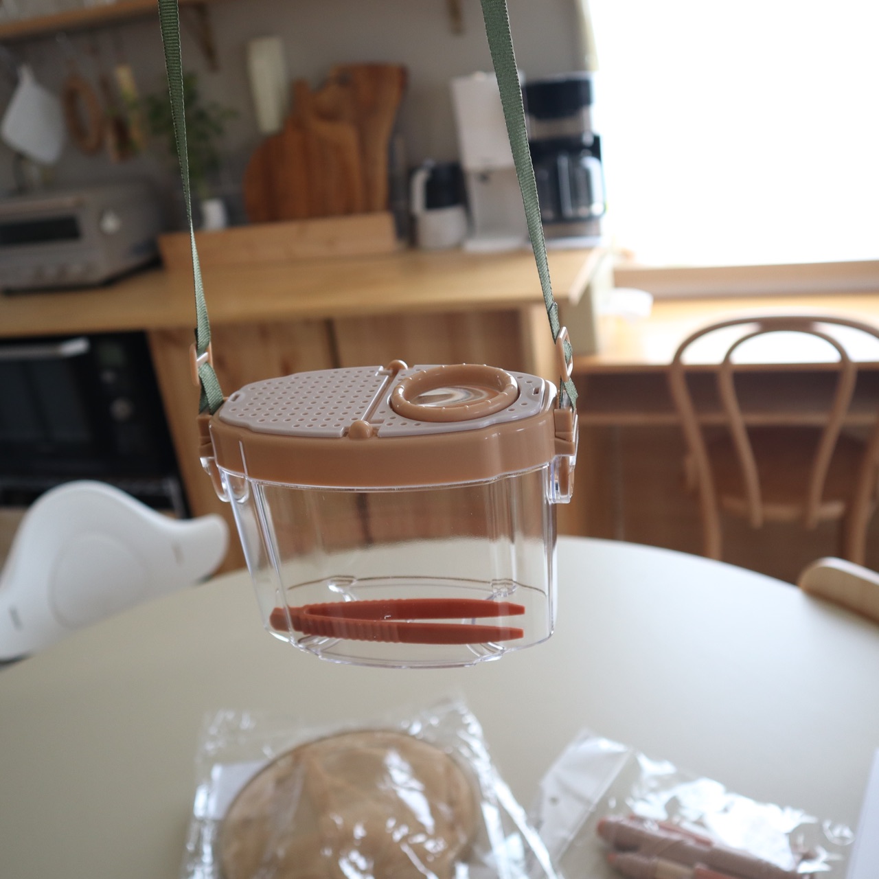 3coinsで虫取りアイテムとキッチン雑貨を買いました : …