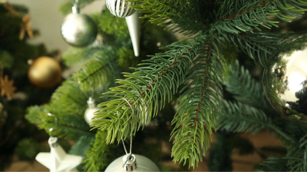生産終了plastiflorクリスマスツリー180cmドイツ製 (PLASTIFLOR 生産終了plastiflorクリスマスツリー180cmドイツ製 (PLASTIFLOR