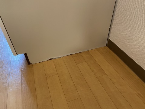 C56F4EFD-D502-46D1-BD68-5B02417C6DE2