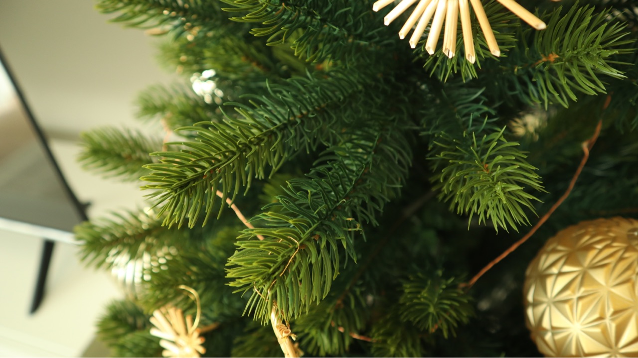 クリスマスツリー検討中の方へ🫶グローバルトレード社ツリーと クリスマスツリー検討中の方へ🫶グローバルトレード社ツリーと