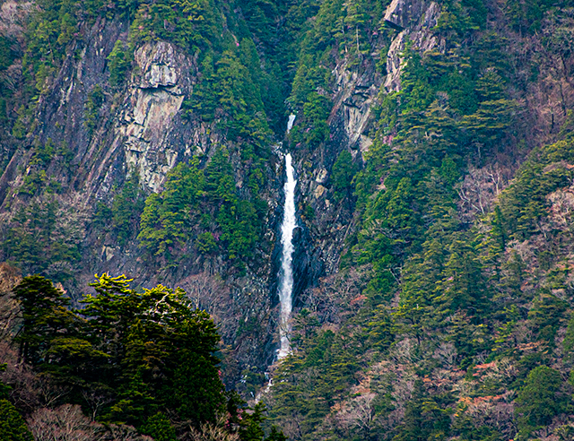 _DSC1681