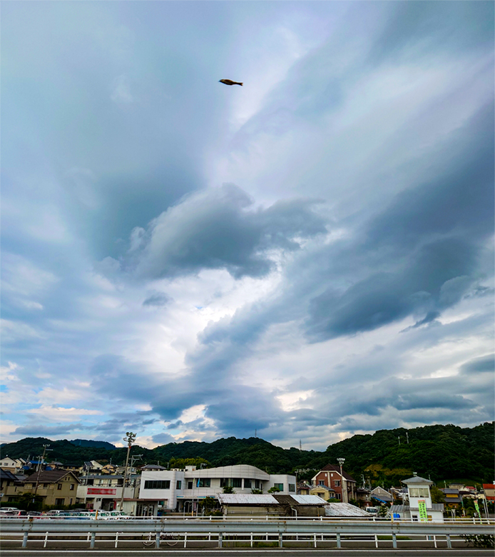tate_SKY