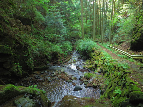 IMGP5845
