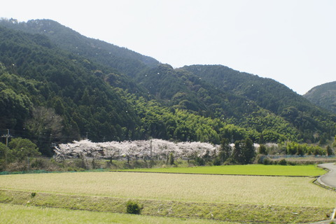 08(2)