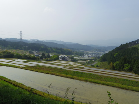 IMGP5787