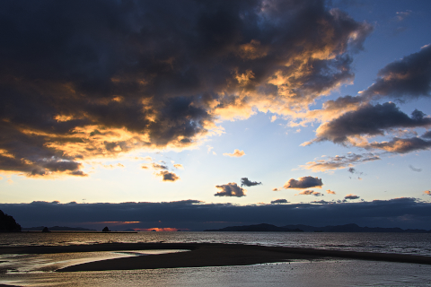 _DSC4184_S