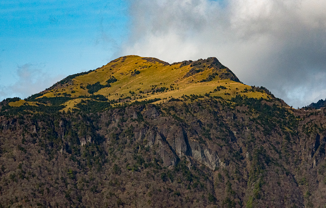 _DSC1654