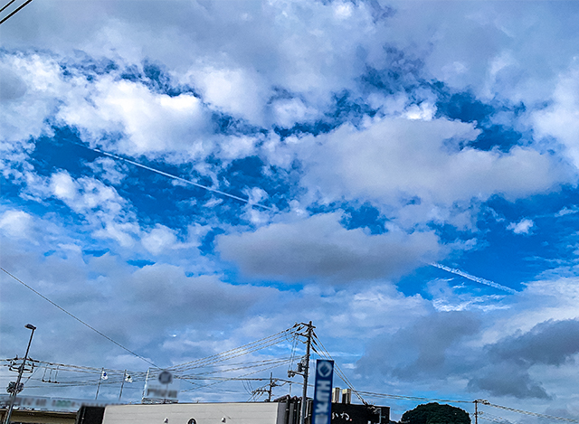 0704 (2)