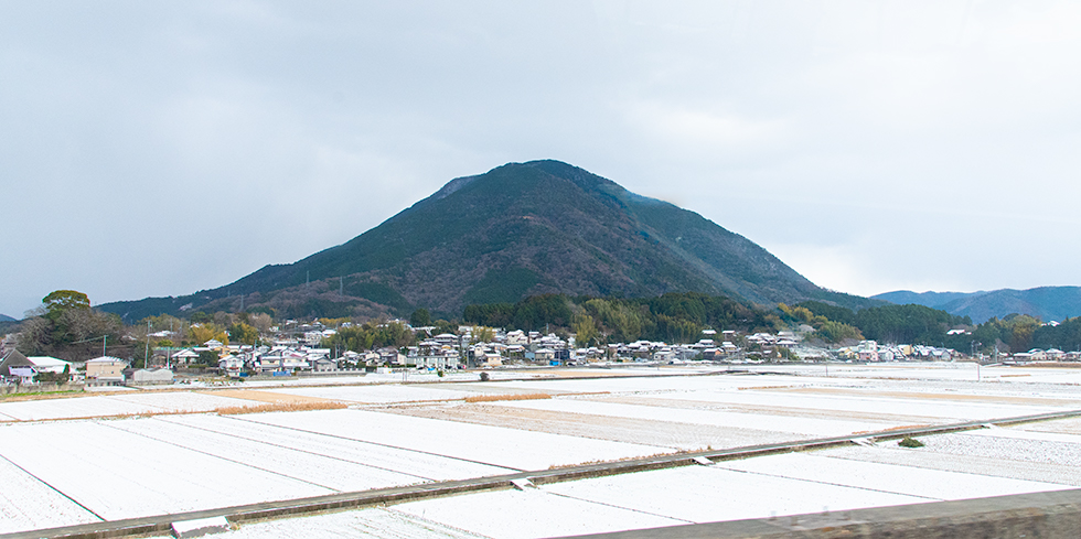 01_Oozu