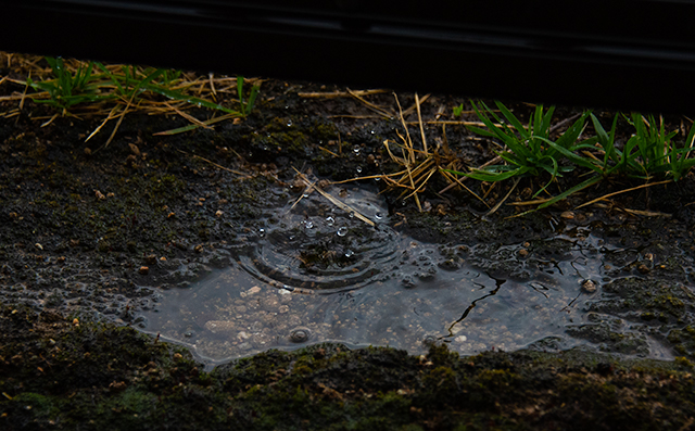 Water_drops