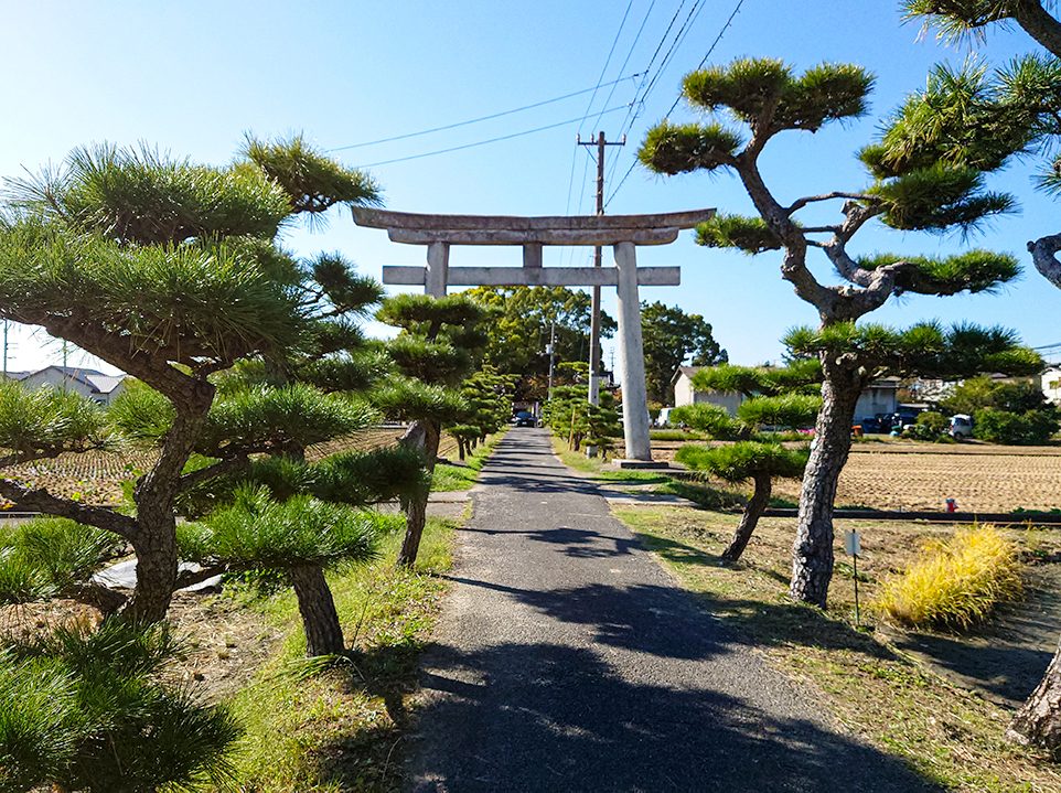matsu_road