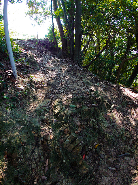 Hanamiyama_Mountain_road