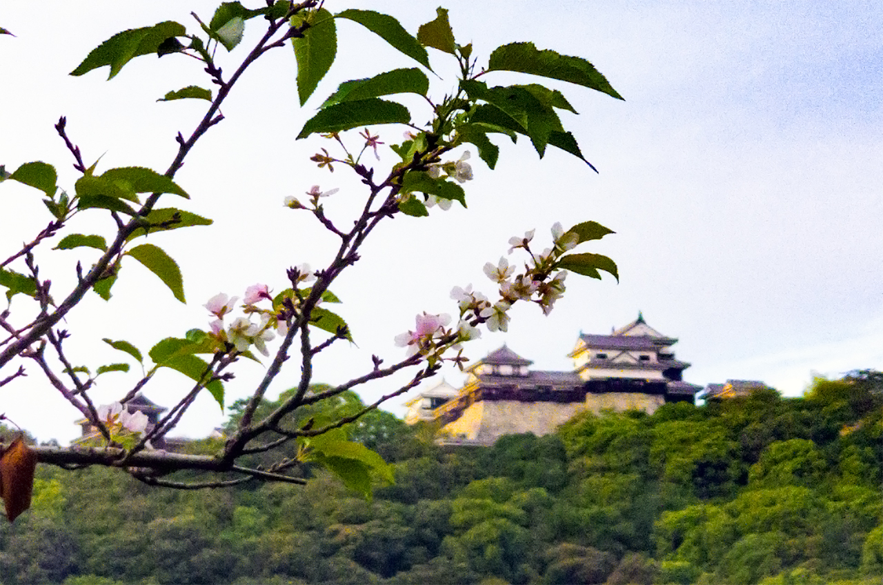 Castle_and_Crazy