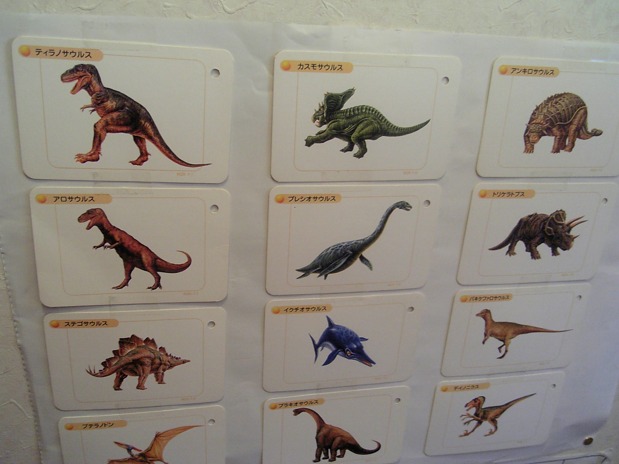 恐竜カードでカタカナレッスン バカな親でも英才教育がしたい