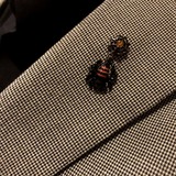 IMG_3033