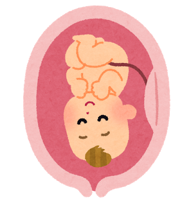 sakago_taiji