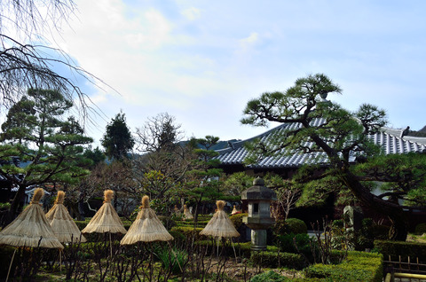 石光寺　境内の風景