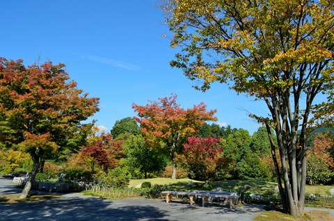 遊歩道（紅葉しはじめ）