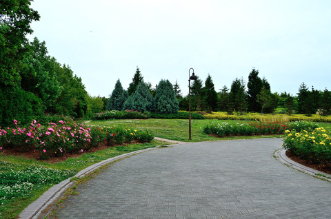 馬見丘陵公園　花の道