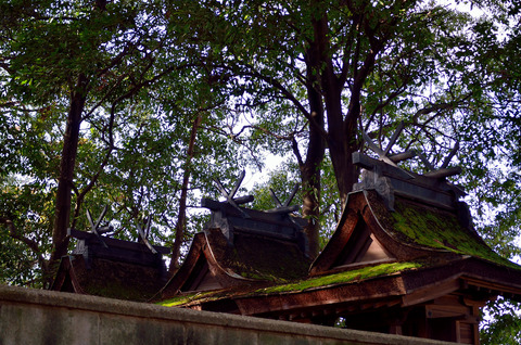 石見鏡作神社　本殿