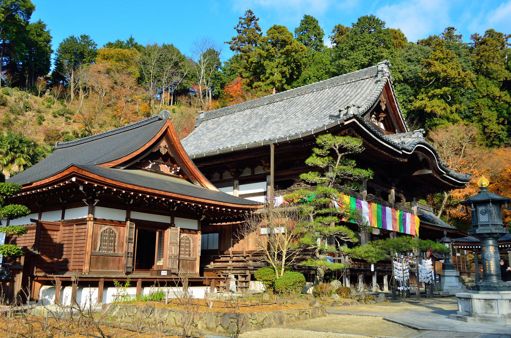 岡寺(龍蓋寺) : あおによし 岡寺(龍蓋寺) : あおによし