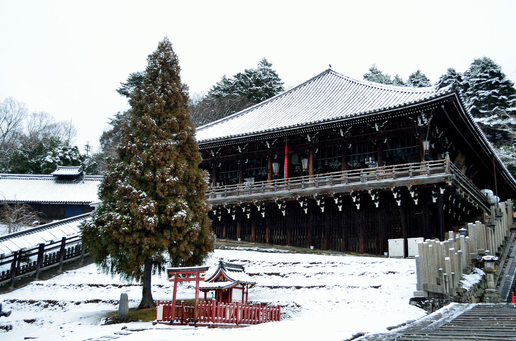 風景 東大寺二月堂の冬景色 あおによし