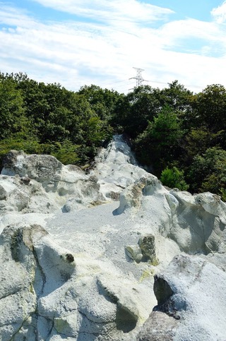 流れ出てるような風景