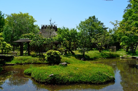 奈良国立博物館　心字池