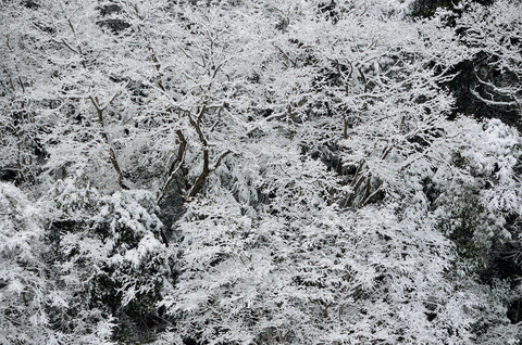 吉野山奥千本の雪景色