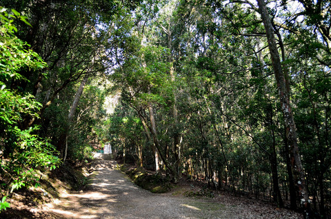 紀伊神社から西方への参道