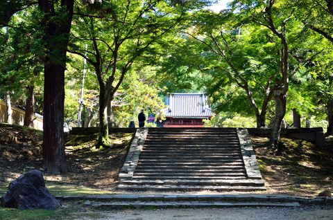 手向山八幡宮