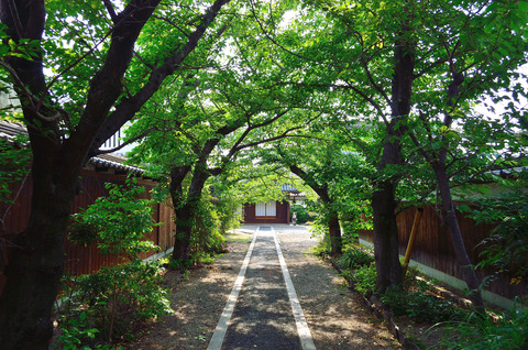 順明寺　境内の様子