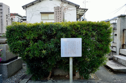 雪責松の跡