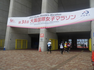 IMGP9551