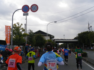 IMGP9544