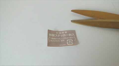 DSC06071