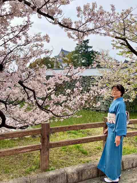 唐織の袋帯、気に入りました! : 還暦着物好き日記 唐織の袋帯、気に入りました! : 還暦着物好き日記