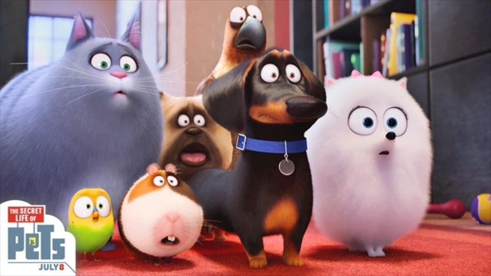 映画放談 ペット ペット達の密かな楽しみを覗いてみましょう Eigamasterのblog 映画放談 ペット ペット達の密かな楽しみを覗いてみましょう Eigamasterのblog