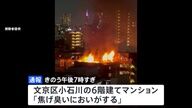 火災に巻き込まれた猪口邦子参議院議員の自宅 – ２人の行方は？