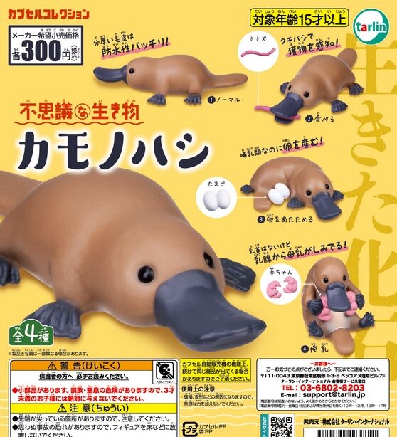 大阪・関西万博の魅力を発信！カモノハシのイコちゃんと過ごす日々
