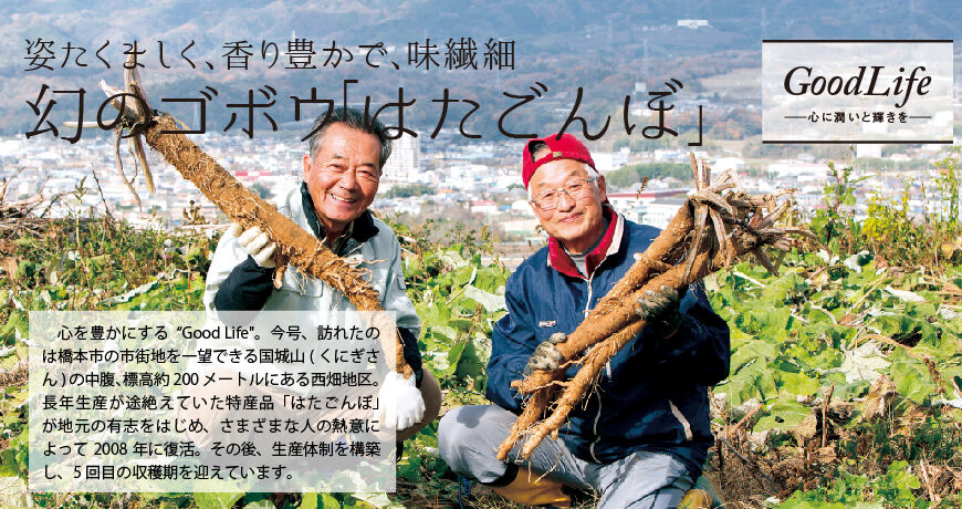 橋本市の魅力を探求： 幻のゴボウ『はたごんぼ』の復活物語